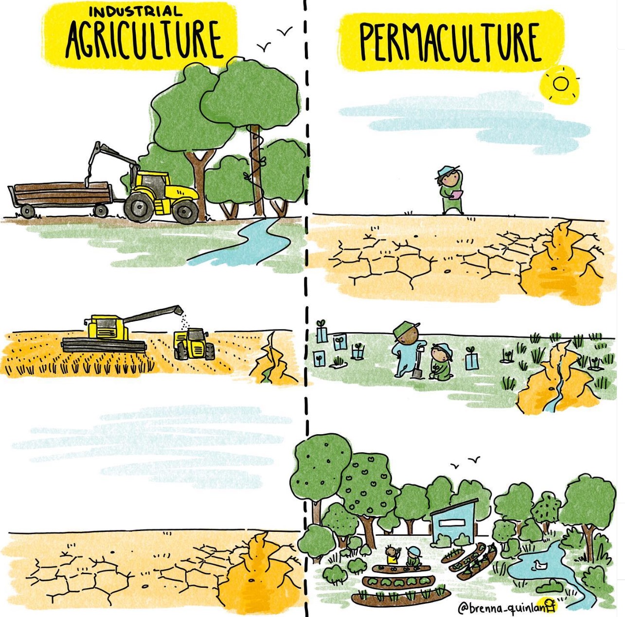Choosing the Right Allocation Method in Life Cycle Inventory (LCI): Insights for Sustainable Agriculture